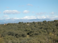 The battlefields near Madrid