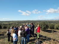 The Peter Daly Society - Bi-Annual Madrid Trip 2011