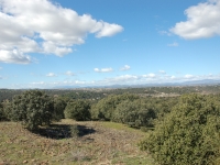 The battlefields near Madrid