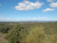 The battlefields near Madrid