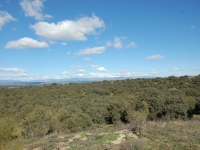 The battlefields near Madrid